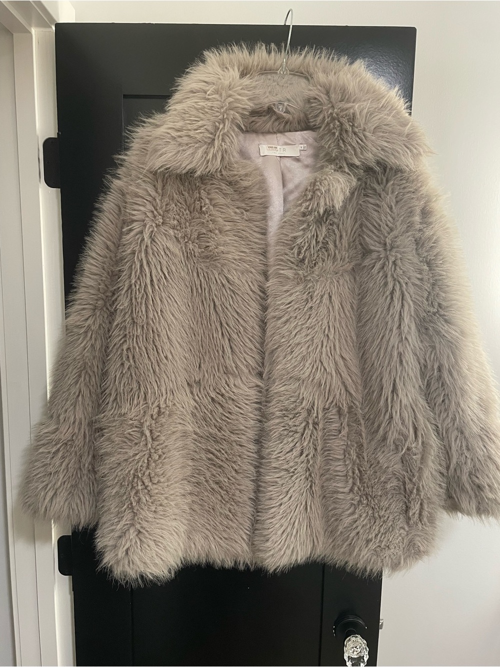 Astr Plush Faux Fur Teddy Coat in Taupe